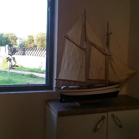 Silia * سفوروناتا